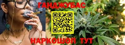 сатива Донецк
