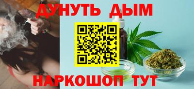 гидра Дубна