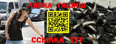 гидра Дубна